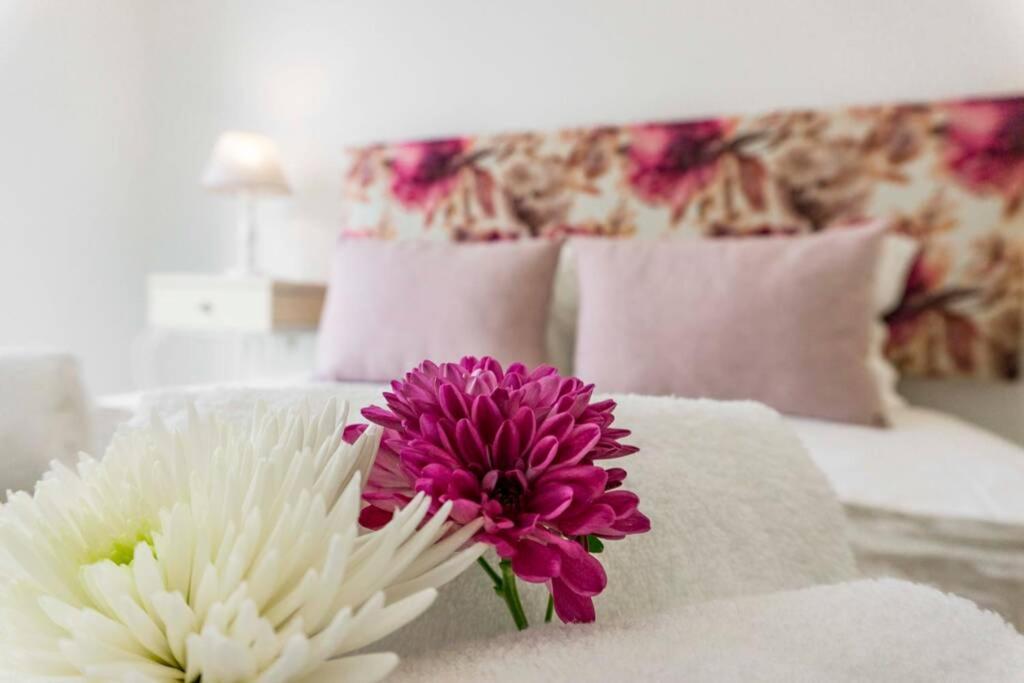 Lalitana Center Apartment 라고스 외부 사진